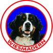 Zuchtstätte von Wiesmadern| Berner Sennenhund