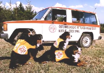 Wiesmadern Rettungshunde