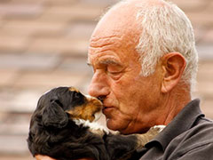 Berner Sennenhunde | Welpen aus dem Zwinger Wiesmadern